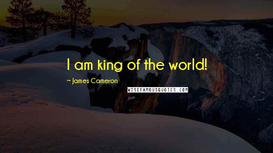 James Cameron Quotes: I am king of the world!