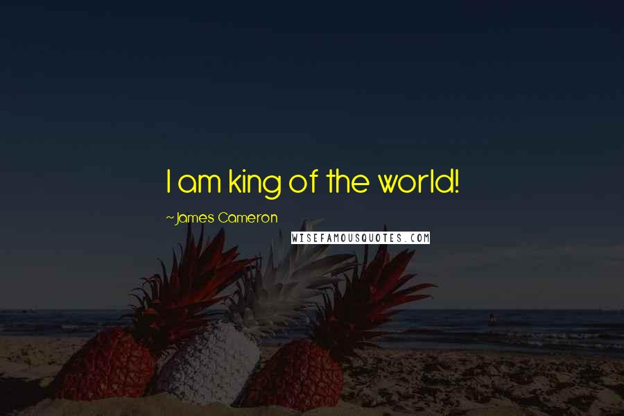 James Cameron Quotes: I am king of the world!