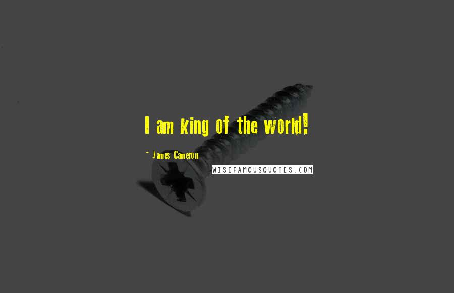 James Cameron Quotes: I am king of the world!