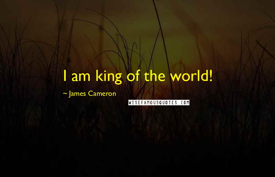 James Cameron Quotes: I am king of the world!