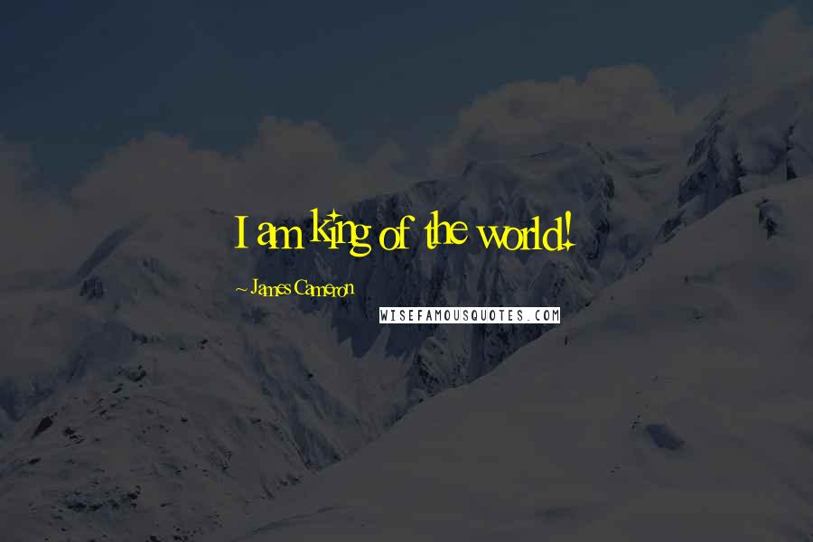 James Cameron Quotes: I am king of the world!