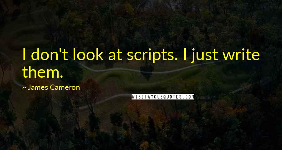 James Cameron Quotes: I don't look at scripts. I just write them.