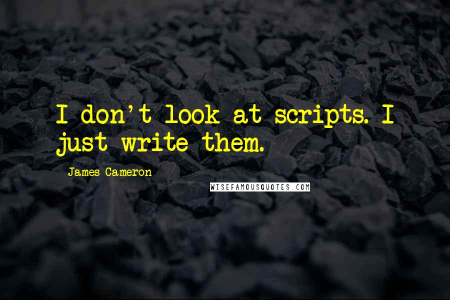 James Cameron Quotes: I don't look at scripts. I just write them.