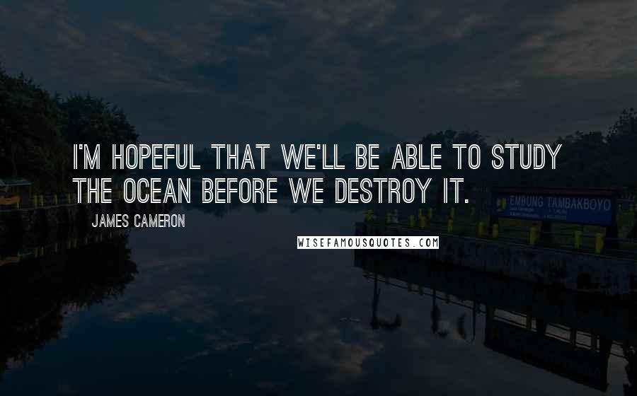 James Cameron Quotes: I'm hopeful that we'll be able to study the ocean before we destroy it.