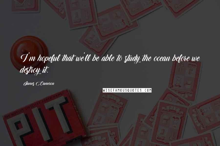 James Cameron Quotes: I'm hopeful that we'll be able to study the ocean before we destroy it.