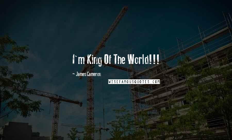 James Cameron Quotes: I'm King Of The World!!!