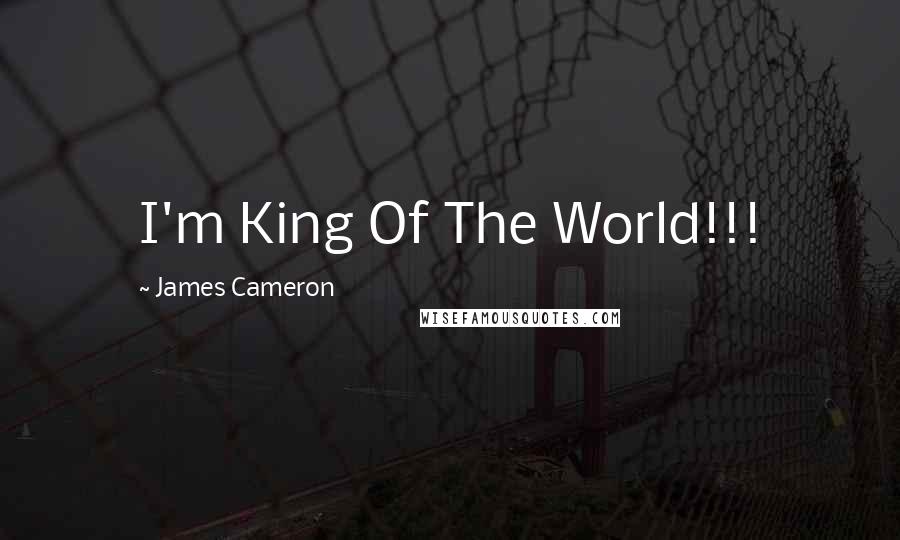 James Cameron Quotes: I'm King Of The World!!!