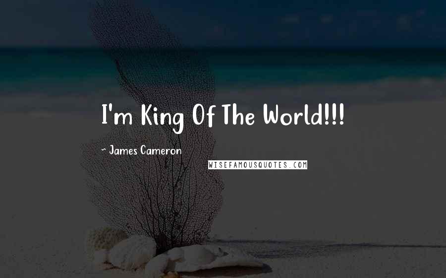 James Cameron Quotes: I'm King Of The World!!!