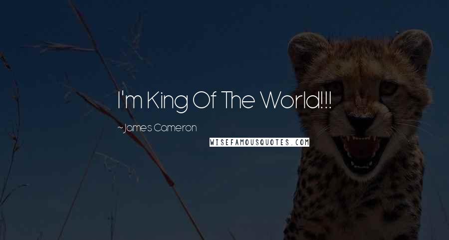 James Cameron Quotes: I'm King Of The World!!!