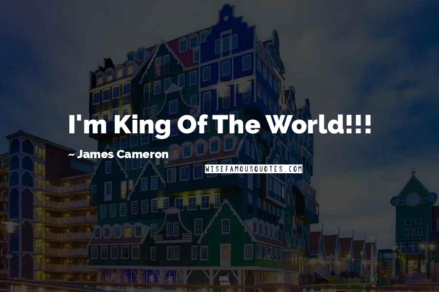 James Cameron Quotes: I'm King Of The World!!!
