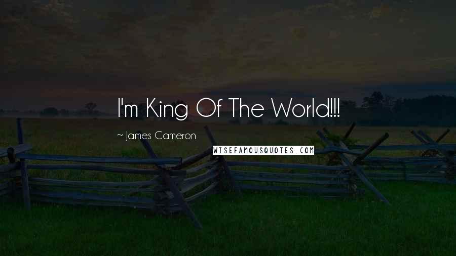 James Cameron Quotes: I'm King Of The World!!!