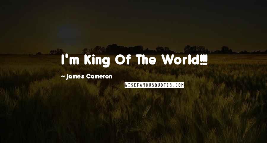 James Cameron Quotes: I'm King Of The World!!!