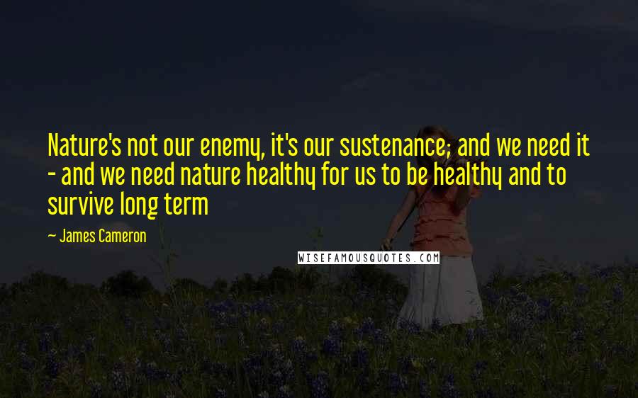 James Cameron Quotes: Nature's not our enemy, it's our sustenance; and we need it - and we need nature healthy for us to be healthy and to survive long term