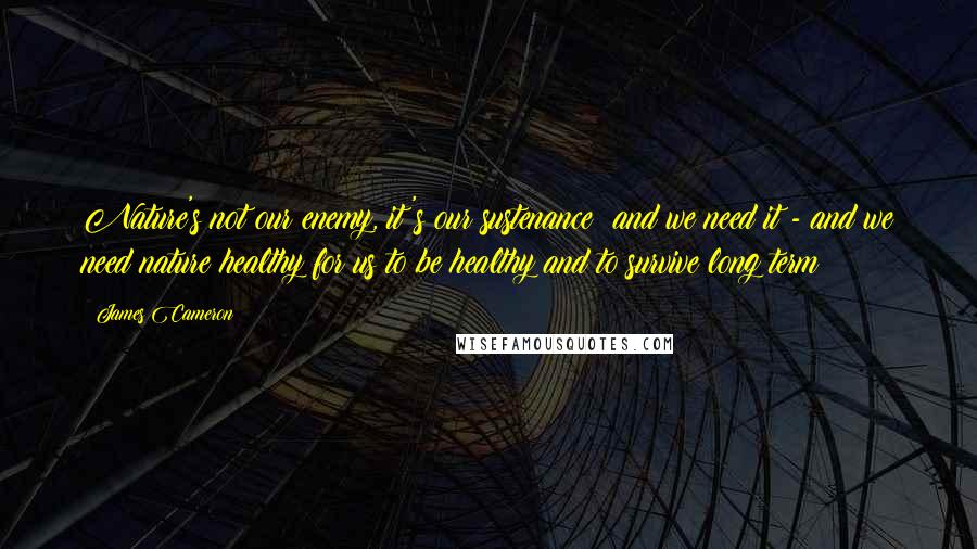 James Cameron Quotes: Nature's not our enemy, it's our sustenance; and we need it - and we need nature healthy for us to be healthy and to survive long term