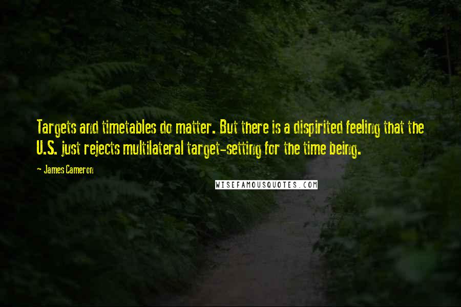 James Cameron Quotes: Targets and timetables do matter. But there is a dispirited feeling that the U.S. just rejects multilateral target-setting for the time being.