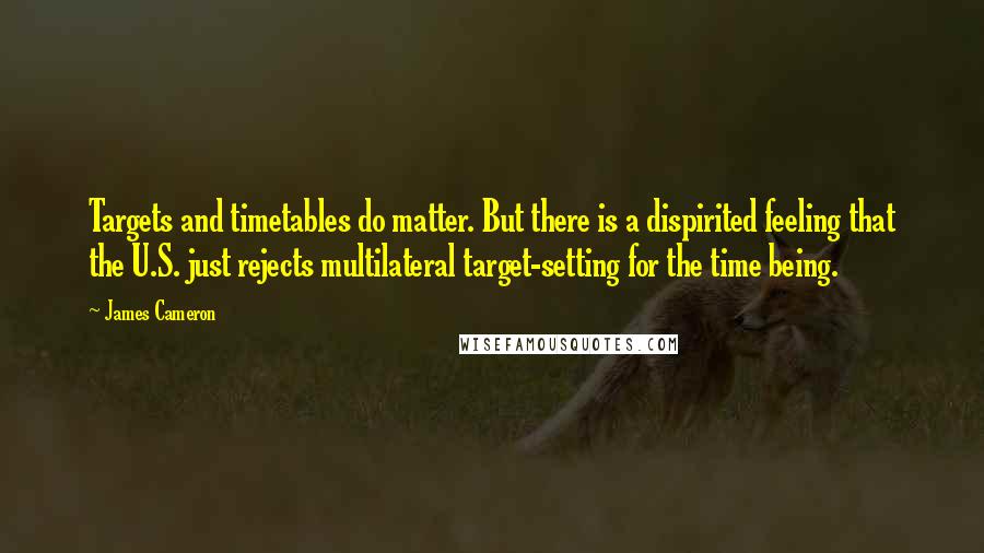 James Cameron Quotes: Targets and timetables do matter. But there is a dispirited feeling that the U.S. just rejects multilateral target-setting for the time being.