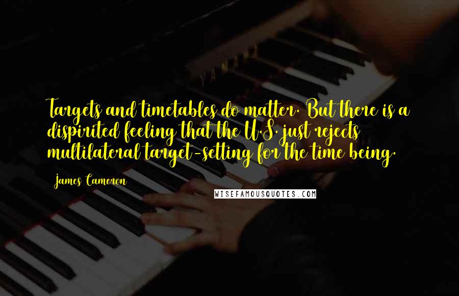 James Cameron Quotes: Targets and timetables do matter. But there is a dispirited feeling that the U.S. just rejects multilateral target-setting for the time being.