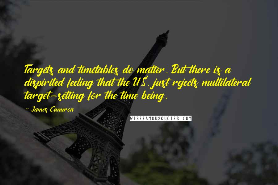James Cameron Quotes: Targets and timetables do matter. But there is a dispirited feeling that the U.S. just rejects multilateral target-setting for the time being.