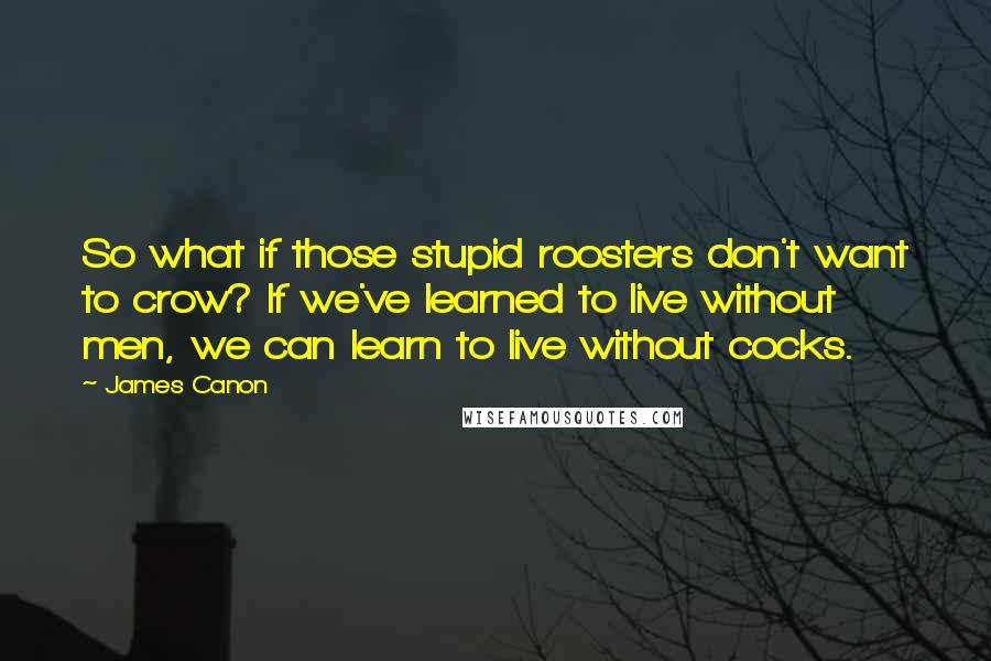 James Canon Quotes: So what if those stupid roosters don't want to crow? If we've learned to live without men, we can learn to live without cocks.