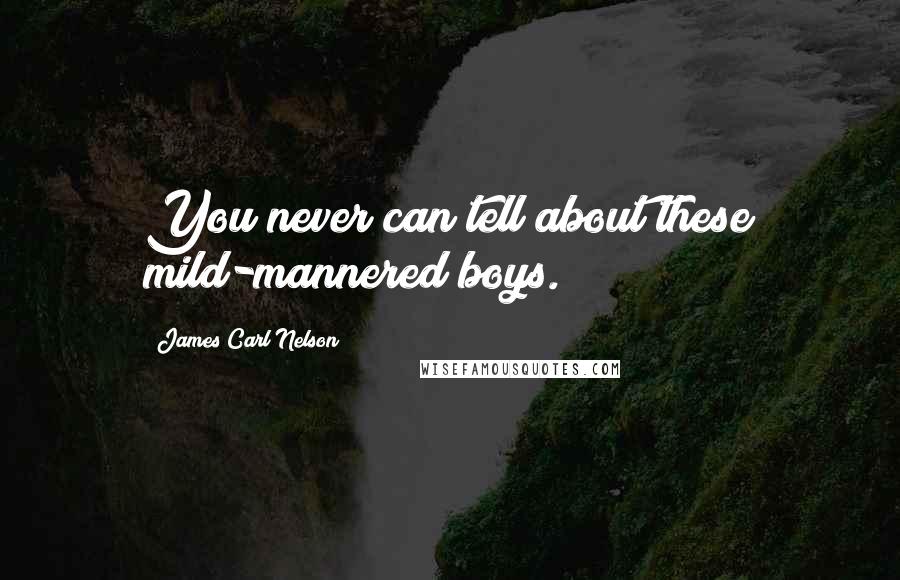 James Carl Nelson Quotes: You never can tell about these mild-mannered boys.