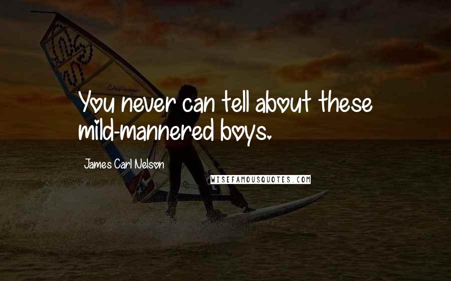 James Carl Nelson Quotes: You never can tell about these mild-mannered boys.