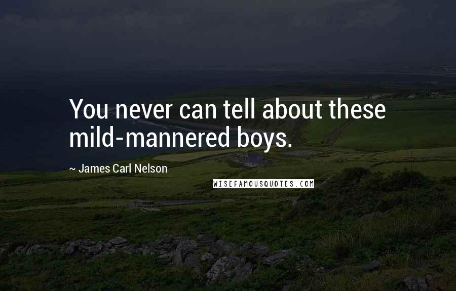 James Carl Nelson Quotes: You never can tell about these mild-mannered boys.