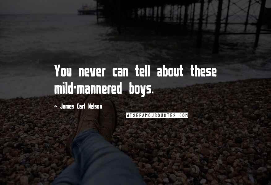 James Carl Nelson Quotes: You never can tell about these mild-mannered boys.