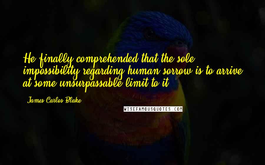 James Carlos Blake Quotes: He finally comprehended that the sole impossibility regarding human sorrow is to arrive at some unsurpassable limit to it.