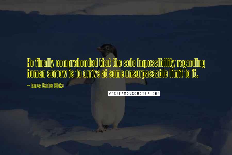 James Carlos Blake Quotes: He finally comprehended that the sole impossibility regarding human sorrow is to arrive at some unsurpassable limit to it.