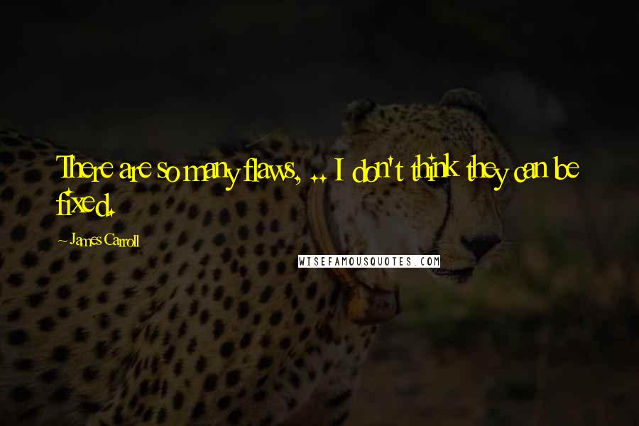 James Carroll Quotes: There are so many flaws, .. I don't think they can be fixed.