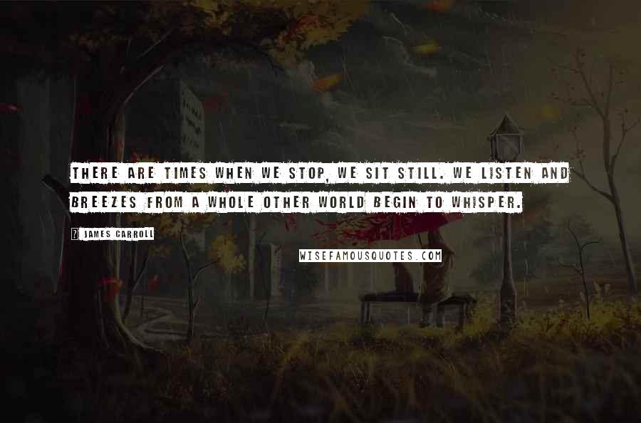 James Carroll Quotes: There are times when we stop, we sit still. We listen and breezes from a whole other world begin to whisper.