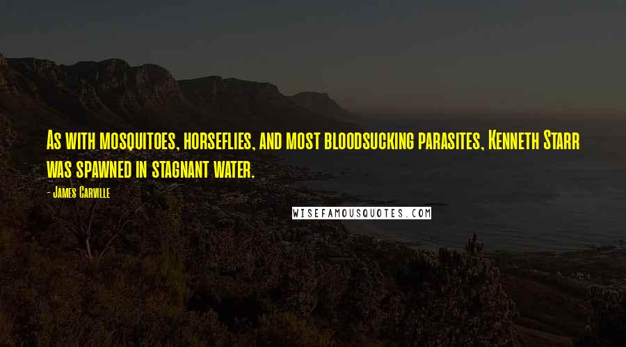 James Carville Quotes: As with mosquitoes, horseflies, and most bloodsucking parasites, Kenneth Starr was spawned in stagnant water.