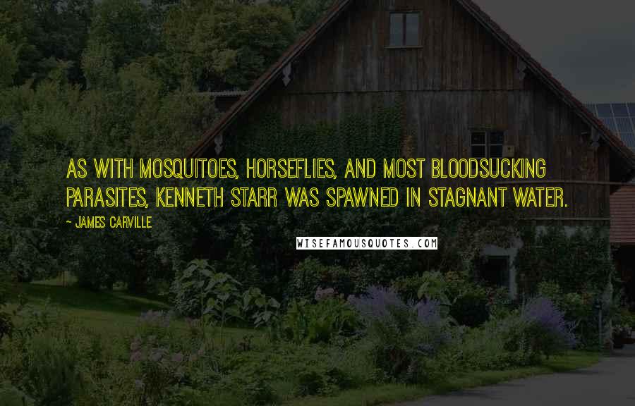 James Carville Quotes: As with mosquitoes, horseflies, and most bloodsucking parasites, Kenneth Starr was spawned in stagnant water.