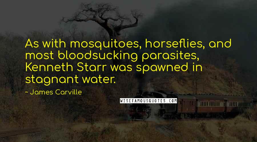 James Carville Quotes: As with mosquitoes, horseflies, and most bloodsucking parasites, Kenneth Starr was spawned in stagnant water.