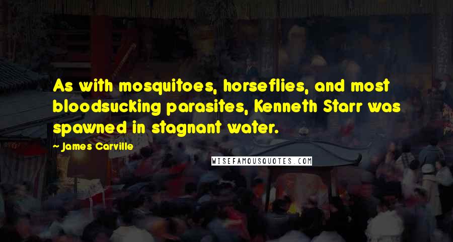 James Carville Quotes: As with mosquitoes, horseflies, and most bloodsucking parasites, Kenneth Starr was spawned in stagnant water.