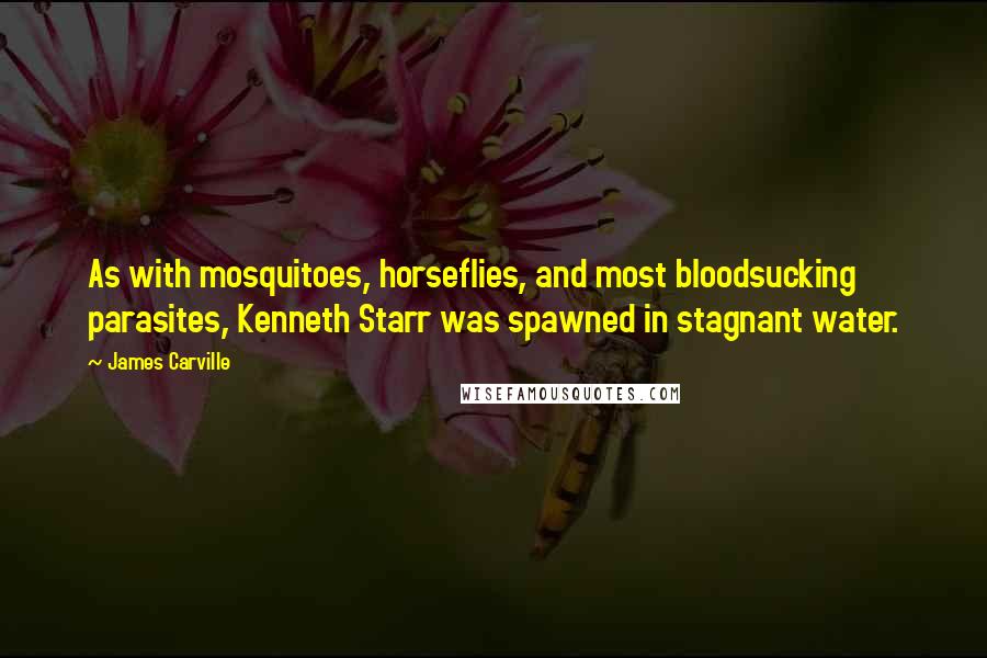 James Carville Quotes: As with mosquitoes, horseflies, and most bloodsucking parasites, Kenneth Starr was spawned in stagnant water.