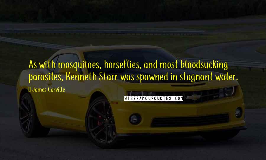 James Carville Quotes: As with mosquitoes, horseflies, and most bloodsucking parasites, Kenneth Starr was spawned in stagnant water.