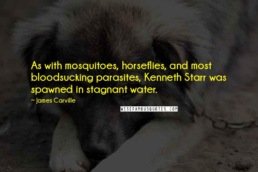James Carville Quotes: As with mosquitoes, horseflies, and most bloodsucking parasites, Kenneth Starr was spawned in stagnant water.