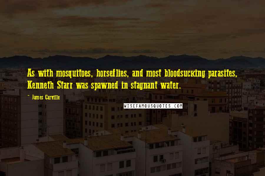 James Carville Quotes: As with mosquitoes, horseflies, and most bloodsucking parasites, Kenneth Starr was spawned in stagnant water.