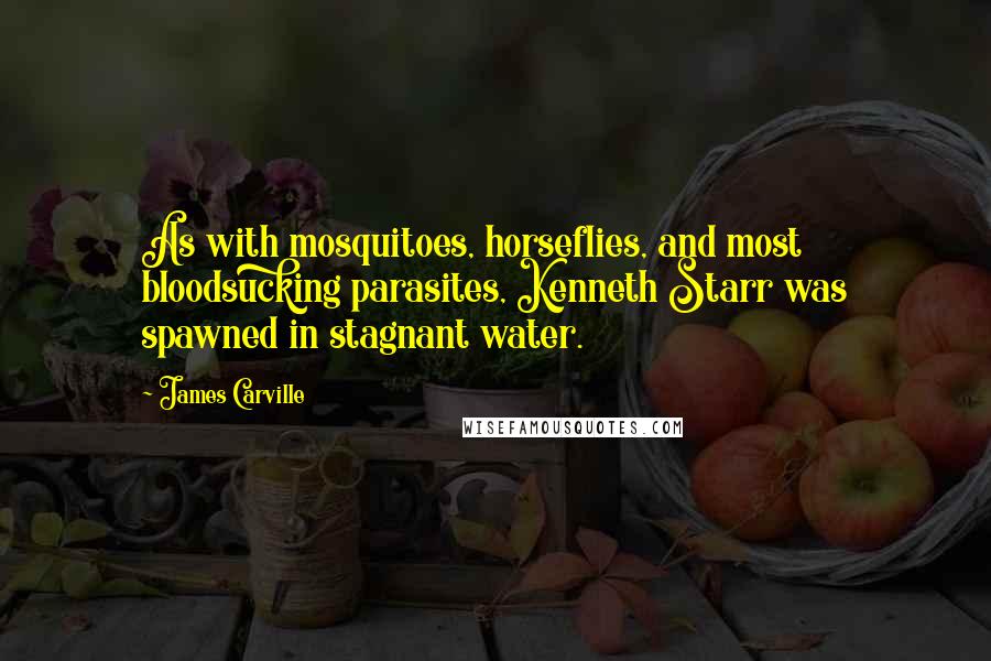 James Carville Quotes: As with mosquitoes, horseflies, and most bloodsucking parasites, Kenneth Starr was spawned in stagnant water.