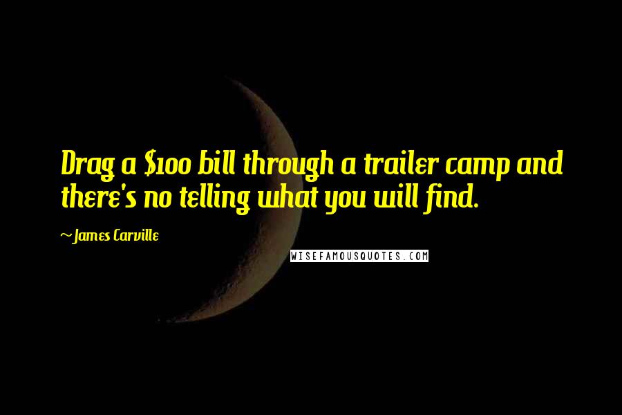 James Carville Quotes: Drag a $100 bill through a trailer camp and there's no telling what you will find.