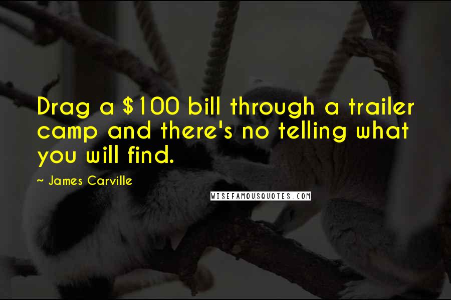 James Carville Quotes: Drag a $100 bill through a trailer camp and there's no telling what you will find.