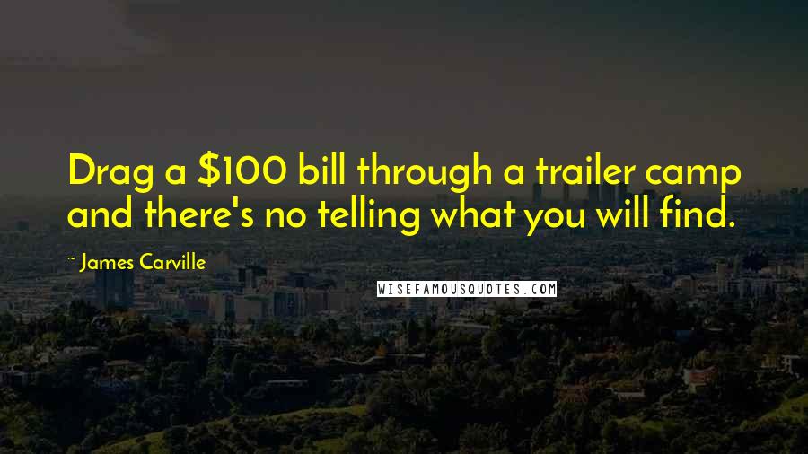 James Carville Quotes: Drag a $100 bill through a trailer camp and there's no telling what you will find.