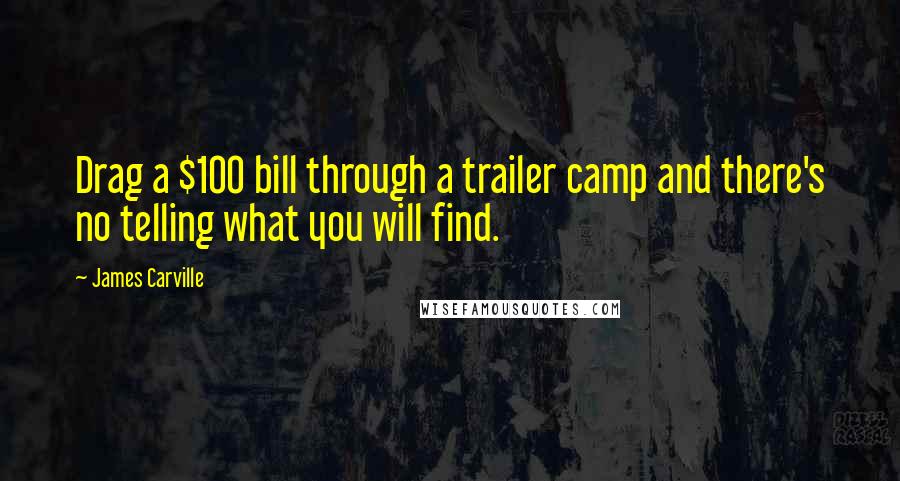 James Carville Quotes: Drag a $100 bill through a trailer camp and there's no telling what you will find.