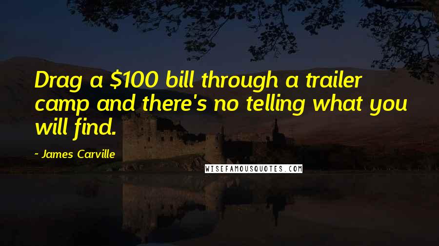 James Carville Quotes: Drag a $100 bill through a trailer camp and there's no telling what you will find.