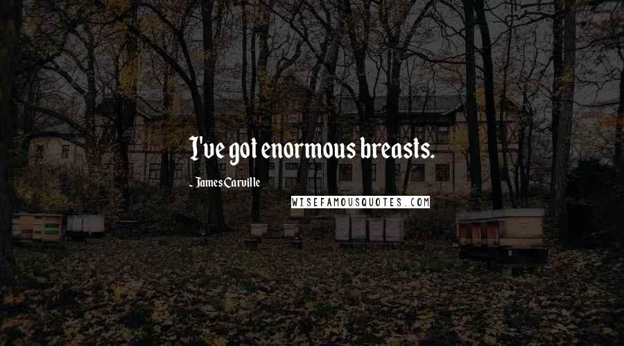 James Carville Quotes: I've got enormous breasts.