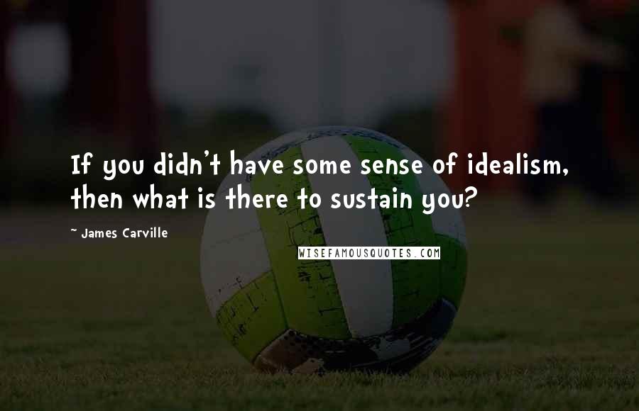 James Carville Quotes: If you didn't have some sense of idealism, then what is there to sustain you?