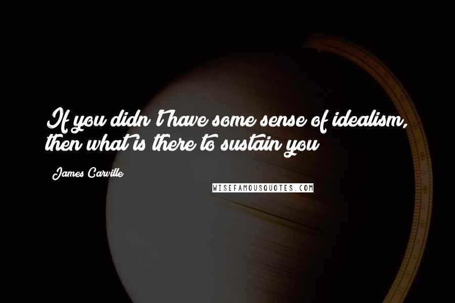 James Carville Quotes: If you didn't have some sense of idealism, then what is there to sustain you?