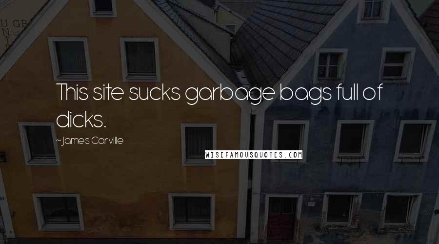 James Carville Quotes: This site sucks garbage bags full of dicks.