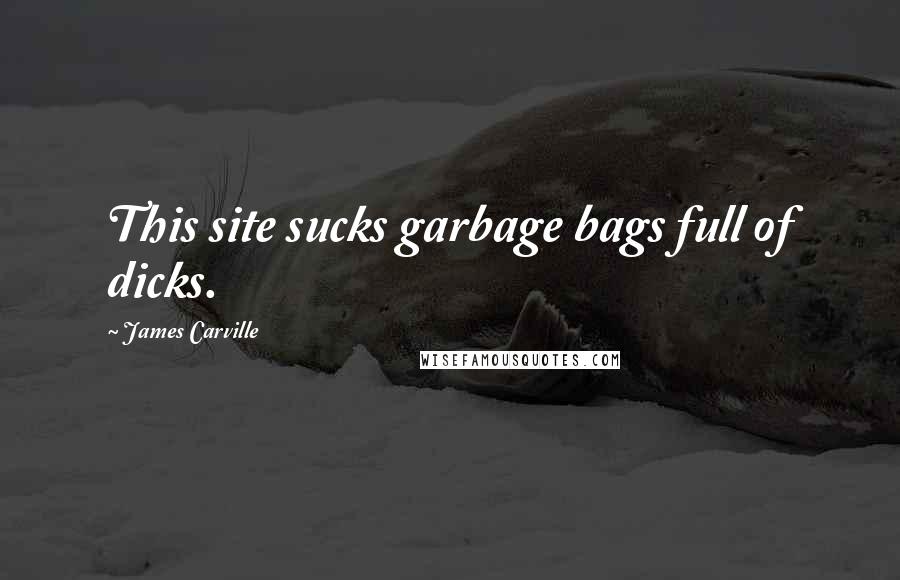James Carville Quotes: This site sucks garbage bags full of dicks.